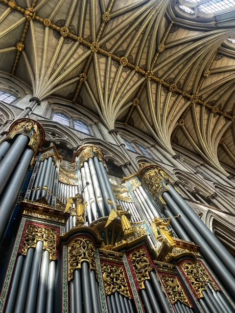 Afternoon sunlight falling across the organ pipes in Westminster Abbey. The vaulted ceiling of the nave is above.