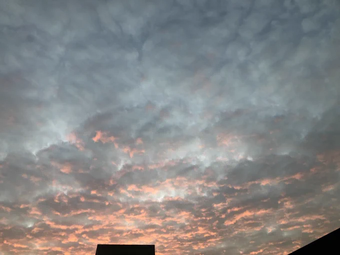 Red sky at dusk