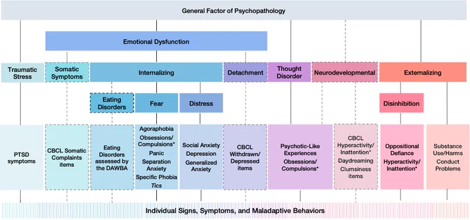 A figure depicting a hierarchical model of the dimensions that have been found to organise psychopathology in youth (e.g. internalizing, externalizing, thought disorder). Some of the constructs are outlined by—or linked with—dashed lines, which denotes evidence from a single study.
