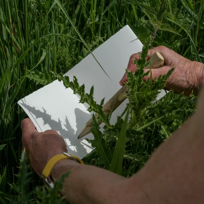 a person is holding a folded piece of paper amongst a green and abundant verge. The are using a thick wooden pencil to draw the shadows of a spiky plant onto the paper | Image: Frederic Landes