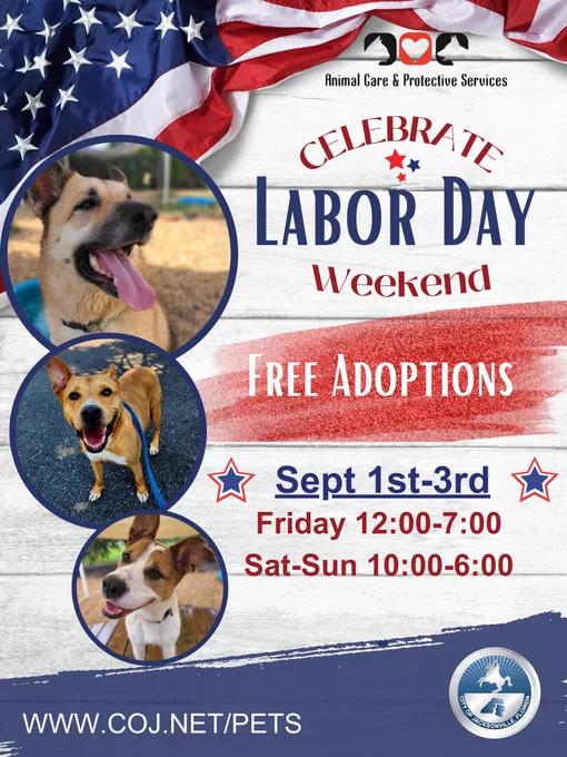 celebrate labor day free pet adoptions friday saturday and sunday at acps 2020 forest st