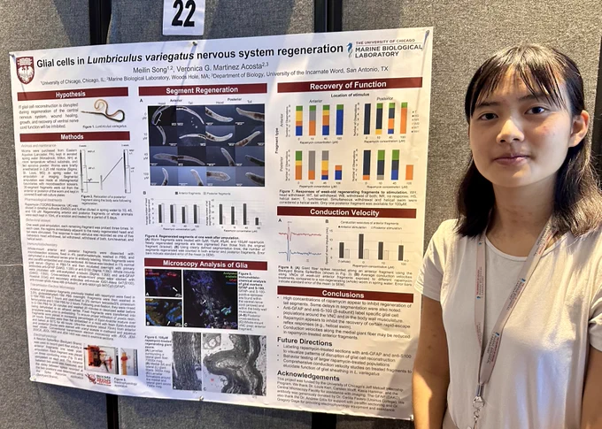 Meilin Song's poster presentation showing her California blackworm regeneration research at Marine Biological Laboratory Woods Hole  Summer Undergraduate Research Program.