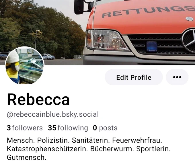 Screenshot eines Accounts mit dem Habdlr rebeccainblue bei einer Twitter Alternative.