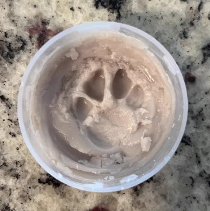 Tiffany’s paw print