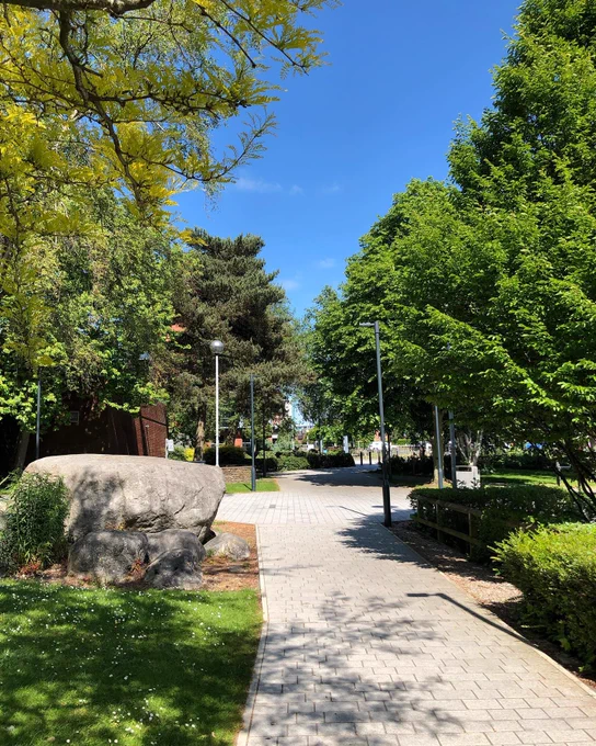 Photo of a pathway leading to Victoria Building with vibrant grass, hedges and trees