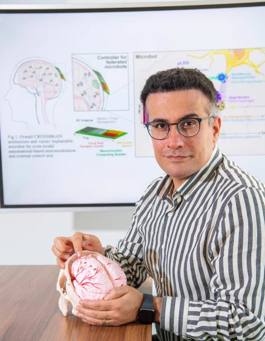 Prof Hadi Heidari