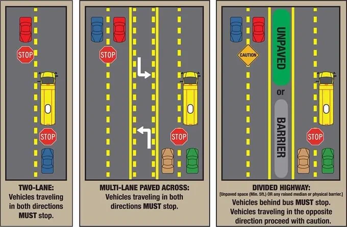 buses