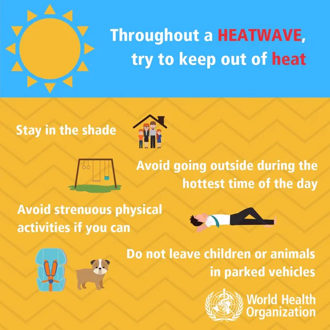 To protect yourself during a heatwave, you should:

Move to the coolest room in the home, especially at night.
If it is not possible to keep your home cool, spend 2-3 hours of the day in a cool place (such as an airconditioned public building).
Avoid going outside during the hottest time of the day.
Avoid strenuous physical activity if you can. If you must do strenuous activity, do it during the coolest part of the day, which is usually in the morning between 04:00 and 07:00.
Stay in the shade.
Do not leave children or animals in parked vehicles. 