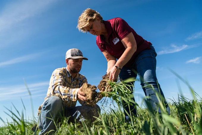 Man and woman in field looking at soil and root structure