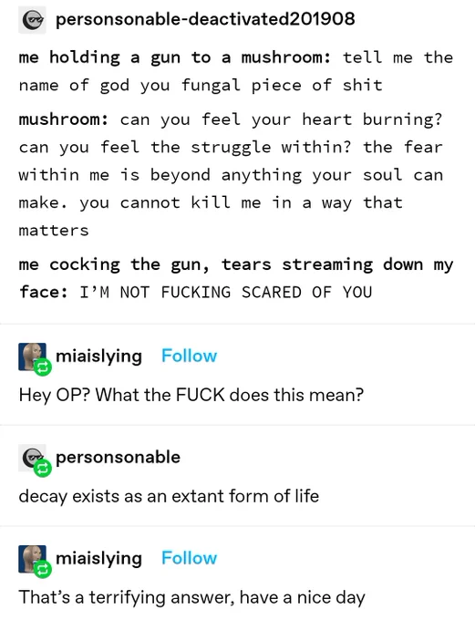 a screenshot of a text post from Tumblr from a deactivated account that says-
me holding a gun to a mushroom: tell me the name of god you fungal piece of shit mushroom: can you feel your heart burning? can you feel the struggle within? the fear within me is beyond anything your soul can make. you cannot kill me in a way that matters
me cocking the gun, tears streaming down my face: I'M NOT FUCKING SCARED OF YOU
and then a reply from user maiaislying that says
Hey OP? What the FUCK does this mean?
and then the OP replies decay exists as an extant form of life
to which maiaislying replies That's a terrifying answer, have a nice day