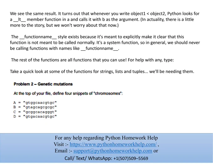 Python Homework Help