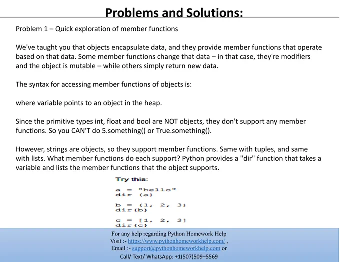 Python Homework Help