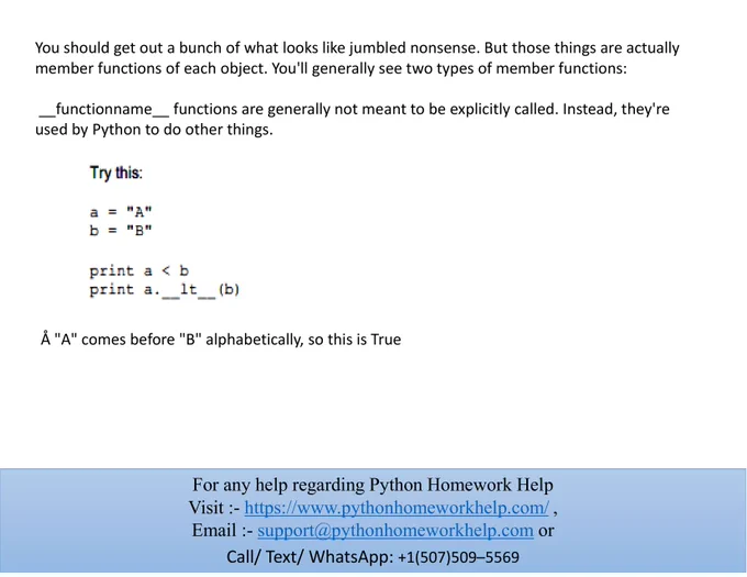 Python Homework Help