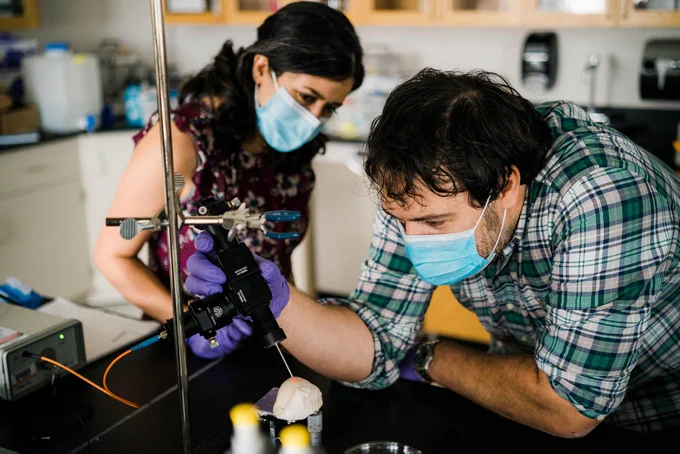 Michael Albro (right), an ENG assistant professor of mechanical engineering, and postdoctoral researcher Masumeh Kazemi using the Raman needle probe on an excised bovine cartilage specimen. Photo by Chris Mcintosh.