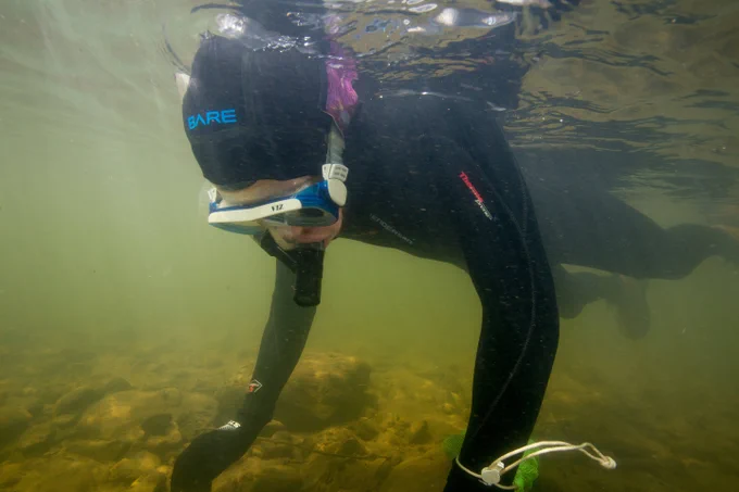 Photo: FWS Scientist diving to find and identify freshwater mussels, taken by Ryan Hagerty/USFWS. 