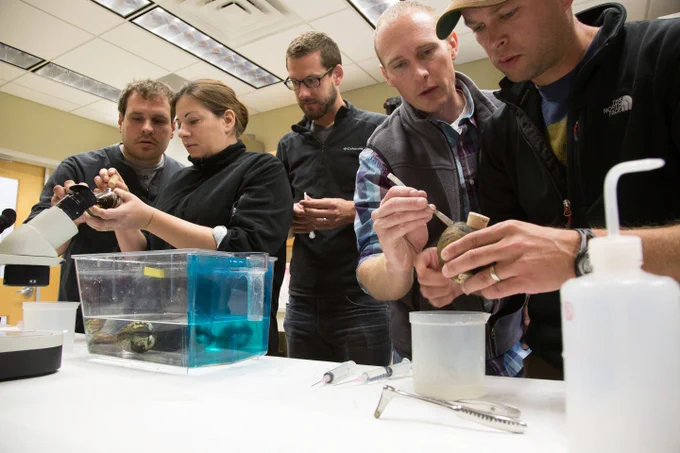 Photo: FWS Biologists learn how to grow freshwater mussels during NCTC’s Freshwater Mussel Propagation for Restoration class, by Ryan Hagerty/USFWS. 