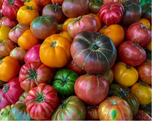 Photo of colorful vegetables