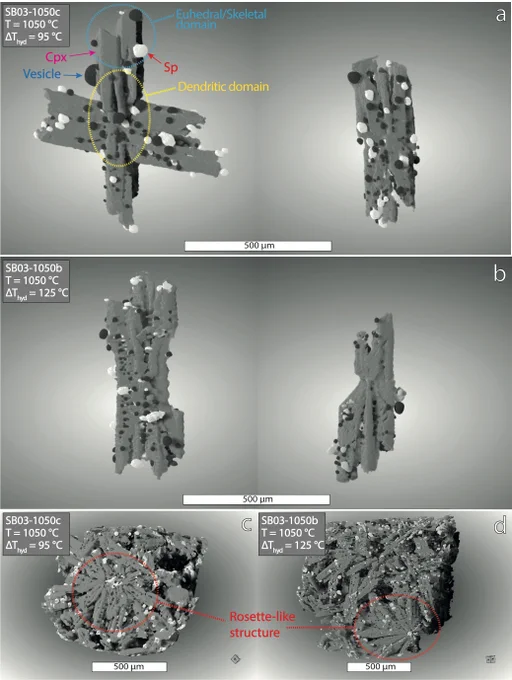 Volume rendering of individual crystals (a,b) and cluster (c) of clinopyroxene obtained using SR-μCT data reconstructed with an isotropic voxel size of 2.5 μm and isosurface rendering after segmentation of vesicles (coloured in dark grey) and spinel (coloured in white).