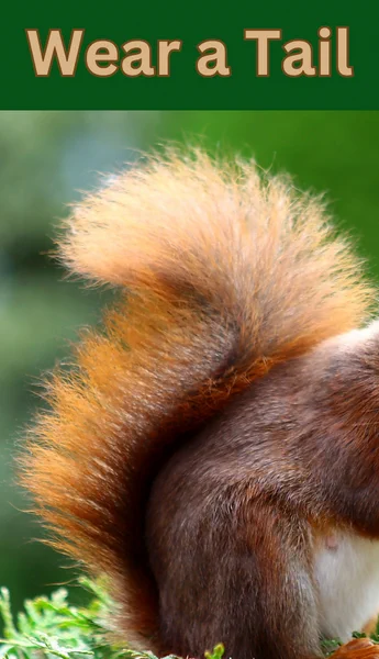 Image of a Squirrel tail and the text "wear a tail"