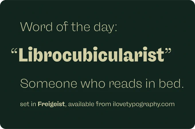 Word of the day: Librocubicularist. Meaning, someone who reads in bed.