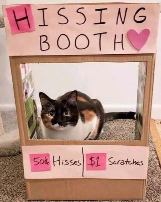 A tri-colour cat sitting inside a booth labelled 'hissing booth'. According to the sign, the proprietor of the shop is offering hisses for 50 cents, and for a limited time only, scratches are only 1 dollar. Who could resist?