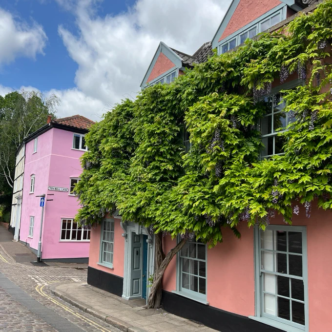 A pink building on a road in Norwich, next to an orange building with green leaves all over it.