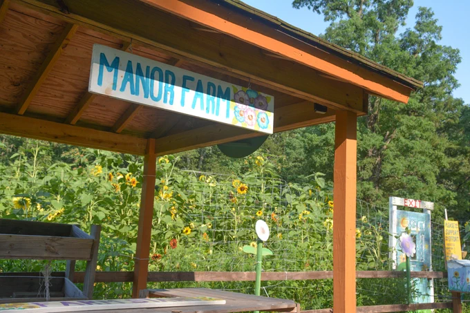 We’re #PSEGLIproud to help support #StarflowerExperiences, a local not-for-profit educational organization dedicated to living harmoniously with our environment. Visit their #ManorFarm SUNFLOWER MAZE and stay to learn more about the #pollinatorproject! 🌻 #ourisland 