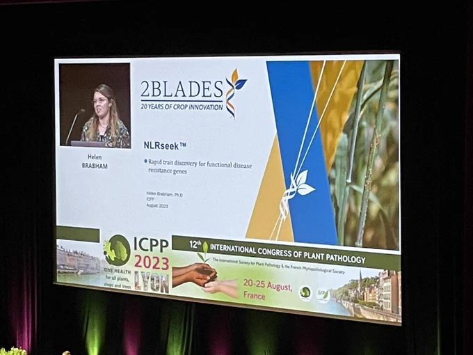 @helenbrabs gave a phenomenal talk on host defense & challenges of resistance breeding. 

Her team created  ~1,000 transgenic lines (wheat 🌾 with genes that are resistant to wheat rust) 

Field trials are promising!
