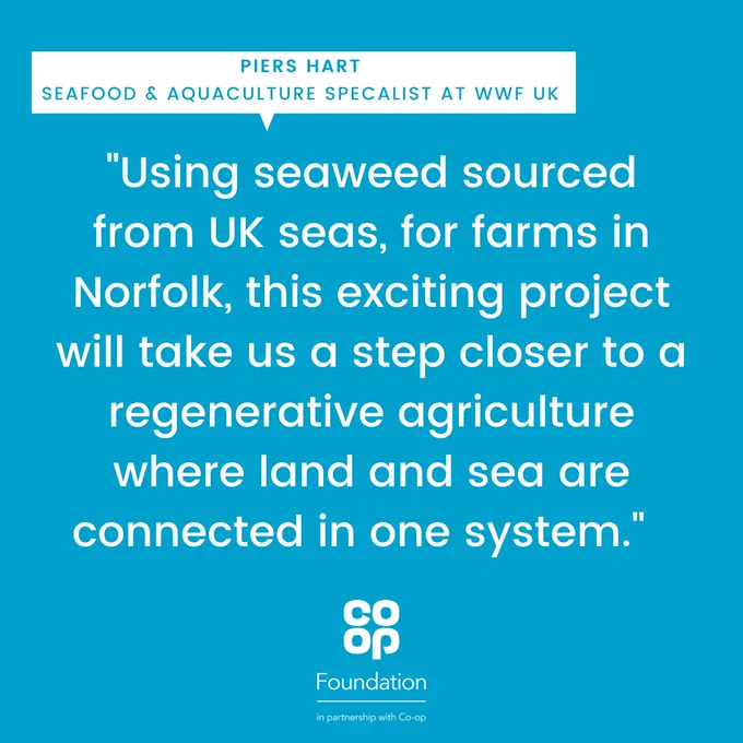 White text on a blue background shows a quote from Piers Hart, Seafood and Aquaculture Specialist at WWF. It says: "Using seaweed sourced from UK seas, for farms in Norfolk, this exciting project will take us a step closer to a regenerative agriculture where land and sea are connected in one system."