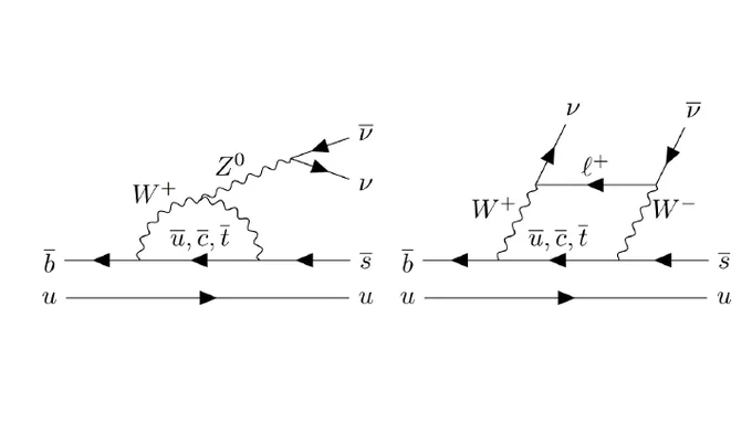 Feynman diagrams for the process B  → K  νν - Left image: penguin diagram; Right image: box diagram.  The image can be found in the following presentation from the EPSHEP2023 conference: https://indico.desy.de/event/34916/contributions/149769/