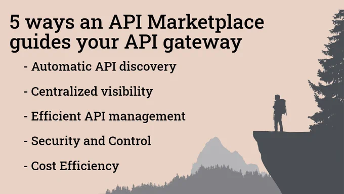 5 ways an API Marketplace guides your API gateway: 
- Automatic API discovery
- Centralized visibility
- Efficient API management
- Security and Control
- Cost Efficiency
