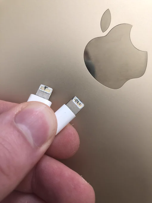 Image of apple cable with black rusted pin