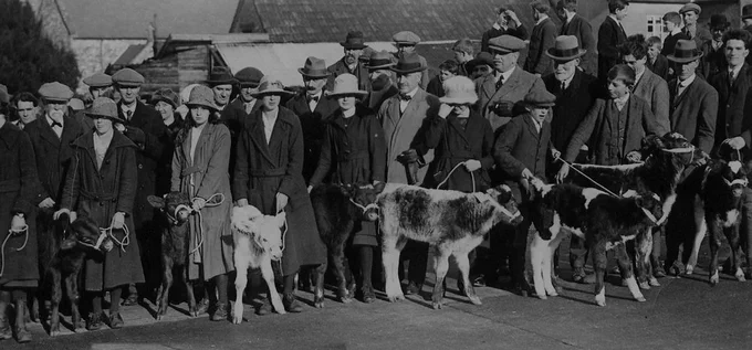 Hemyock Calf Club, Devon, 1921 reproduced from The Calf Club Centenary Group, Hemyock