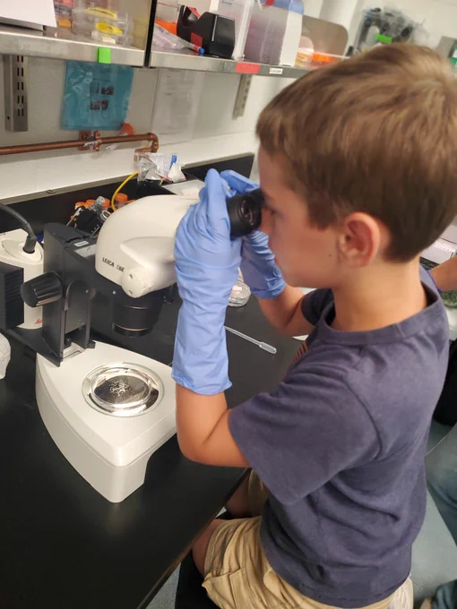 a budding researcher