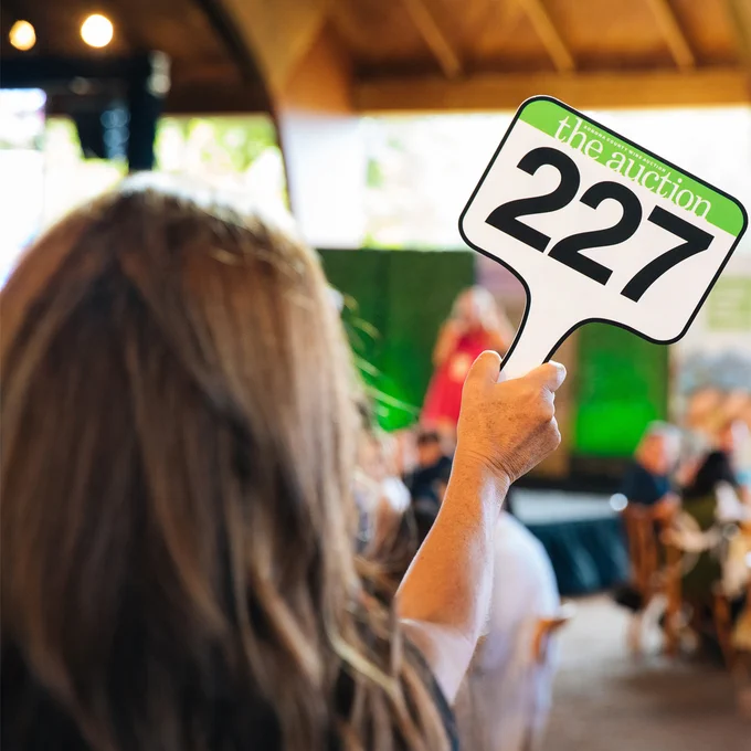 Person with brown hair raising an auction paddle with the number 227 on it.