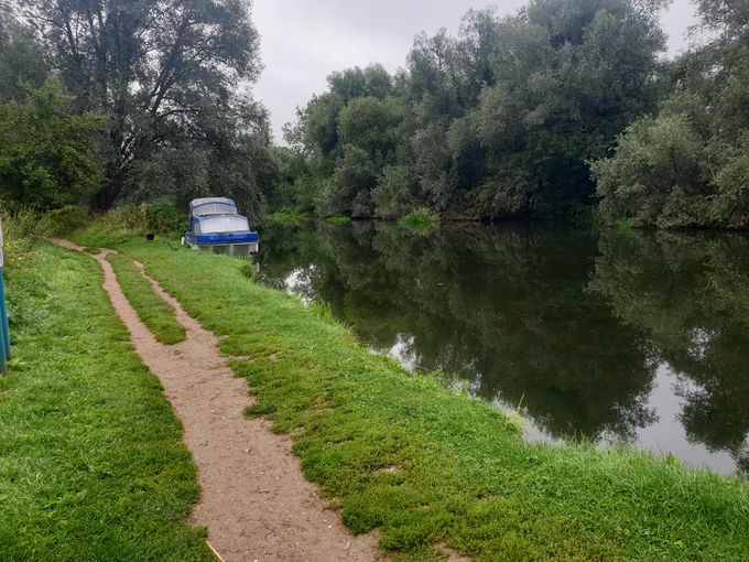 A boat on a river surrounded by trees.