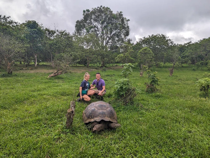Galapagos tortoise