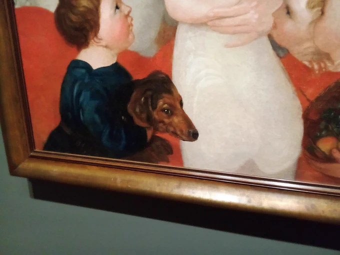 Skeptical-looking dachshund being held by small child 