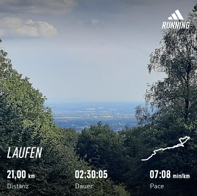 Blick durch Bäume hindurch ins Tal, man sieht entfernt ein paar Häuser und Wiesen, blauer Himmel 