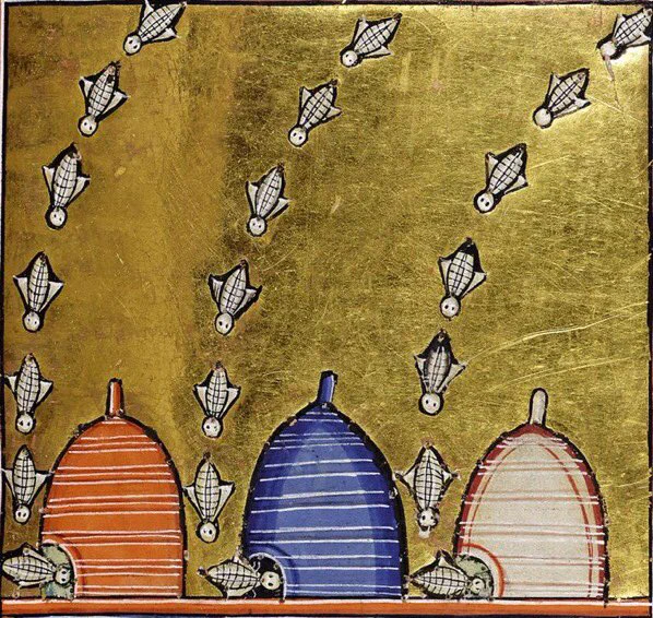 a medieval drawing of three beehives, each with a straight line of bees arcing down toward its entrance. Each bee resembles a hand grenade with wings