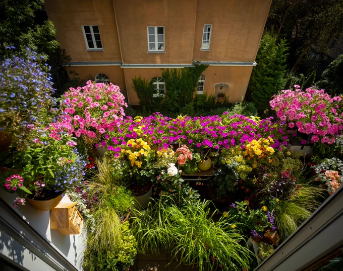 40. konkurs Warszawa w kwiatach – znamy najpiękniejsze balkony i ogrody.
