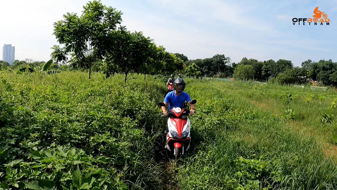 Riding an automatic scooter off-road turns out to be a perfect way to avoid Hanoi's busy traffic. 💯
vietnam, motorbike, motorcycle, motocross, scooter, touring, tours, journey, voyage, adventures, rides, trips, holidays, vacation, travel, holiday, trip, ride, adventure, hire, rental, offroad, fun rides, motorbiking, motorcycling, dirtbike, dual enduro, honda, XR150L, CRF150L, CRF250L, CRF300L, XR250, guided, self guided, offroad vietnam, vietnam offroad, less ridden, quiet corners, vietnam motorbike tours, motorbike tours vietnam, vietnam by motorbike, vietnam motorcycle tours, motorcycle tours vietnam, vietnam by motorcycle, vietnam dirtbike tours, dirtbike tours vietnam, vietnam by dirtbike, roof tracks, reliable bike, village track, untouched places, backroad, rough ride, amazing dirt track, off the beaten track, off the tourist trails, away from tourist path, not for the faint of heart, spirit of riding, distant lands, automatic scooters, for beginners, different experience