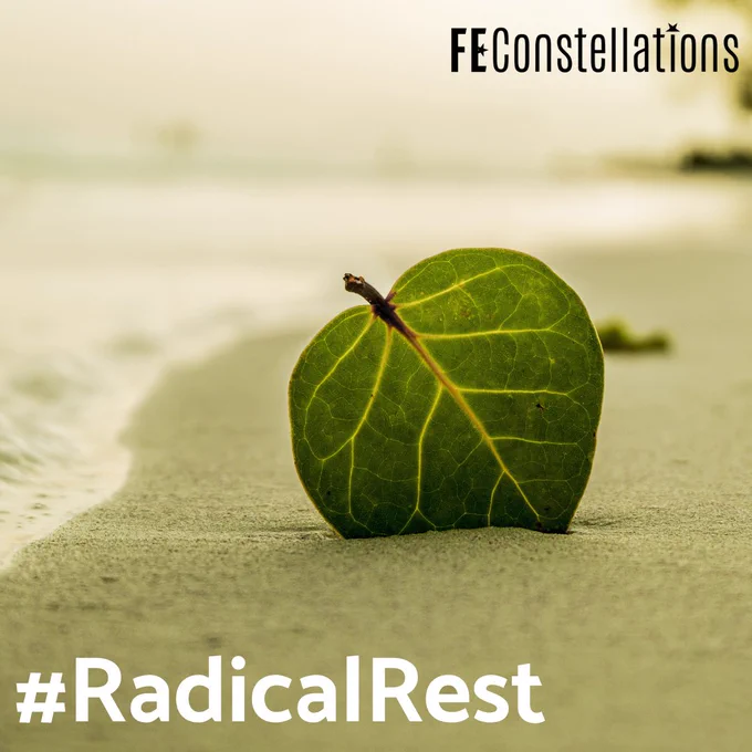 A fresh green leaf gracefully fallen upon a textured expanse of sandy beach, juxtaposing nature's verdant beauty with the earthy tones of the shoreline.