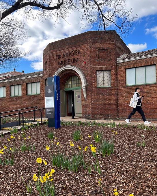 An exterior shot of the Grainger Museum. In the foreground is a bunch of blooming yellow daffodil flowers spurting out of the soil. A man walks past the museum wearing University of Melbourne merchandise and a tote bag. The sky is a vibrant blue with lots of clouds. The museum doors are wide open. 