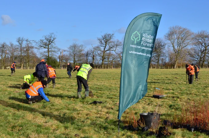 Volunteers planting trees near Leeds for the White Rose Forest.
