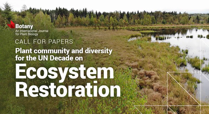 A photo of a restored peatland (fen) in Quebec. In the foreground, low green-brown shrubs and grasses form the bank of a calm body of water. In the background there is a line of evergreen and deciduous trees. The sky is cloudy. Photo credit: Aamir Shehzad Khan.