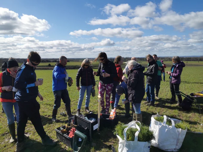 Thirsk Harriers help plant trees on a farm near Thirsk.