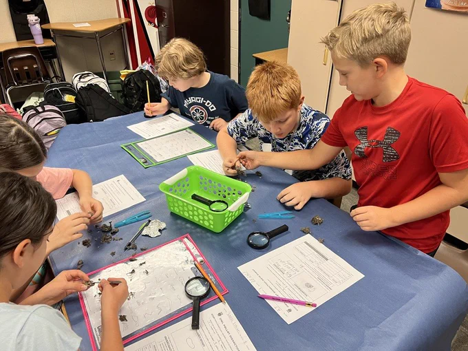 WCE 5th Grade students dissecting Owl Pellets