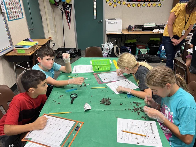 WCE 5th Grade students dissecting Owl Pellets