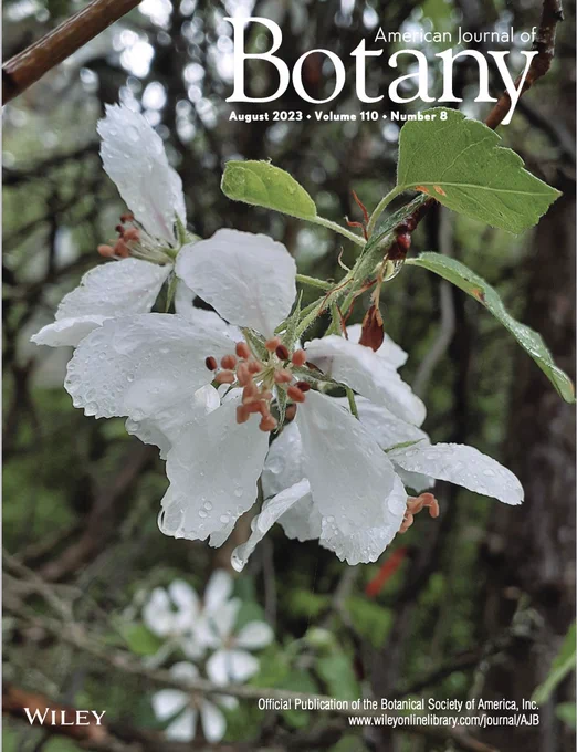 Cover of the August issue of the American Journal of Botany showing sweet crabapple.